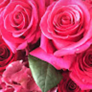 Meet your Posher, Keri